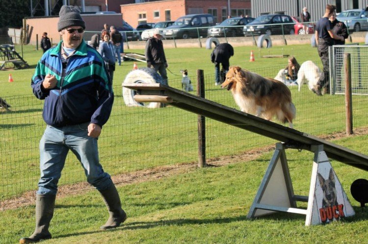 Lindsey - Orissa agility