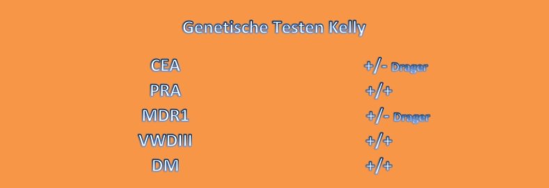 Genetische Testen Kelly
