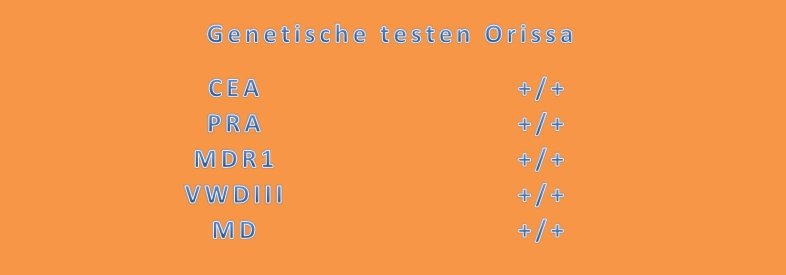 Genetische testen OrissaGenetische testen Orissa